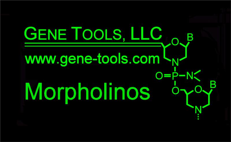 Gene Tools